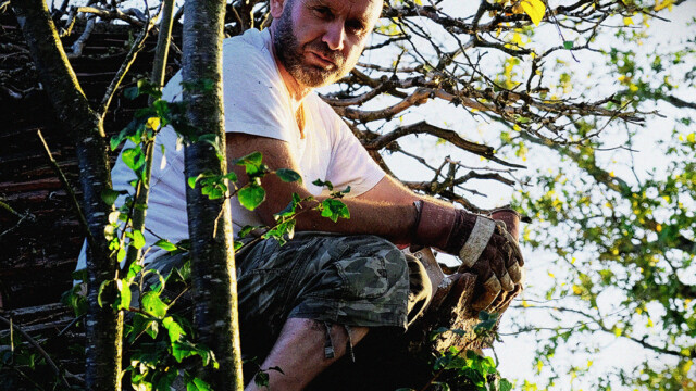 Marco Caccialupi