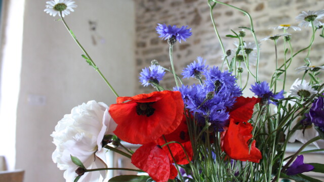 Photo de Capucine Barat